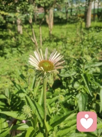 要么解决问题，要么离开问题，
不要和任何问题一起生活，无休止地消耗自
己。当悲伤大于快乐时，任何关系都要停止。
成年人最好的自律是及时止损，
人都有执念，但不能执迷不悟。配图
