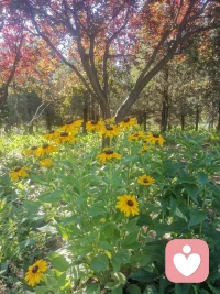 要么解决问题，要么离开问题，
不要和任何问题一起生活，无休止地消耗自
己。当悲伤大于快乐时，任何关系都要停止。
成年人最好的自律是及时止损，
人都有执念，但不能执迷不悟。配图