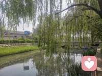 被爱是锦上添花的运气，自爱是永远不败的底气。当你学会深爱自己，就会发现，别人的爱从来不是救赎你的浮板，你自己才是渡自己的那艘船。少一点期待，就少一点失望；多一点自爱，就多一点光芒。
人到中年，最大的清醒，就是学会取悦那个一直被你忽略的自己。配图