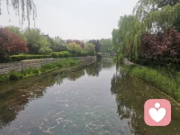 被爱是锦上添花的运气，自爱是永远不败的底气。当你学会深爱自己，就会发现，别人的爱从来不是救赎你的浮板，你自己才是渡自己的那艘船。少一点期待，就少一点失望；多一点自爱，就多一点光芒。
人到中年，最大的清醒，就是学会取悦那个一直被你忽略的自己。配图