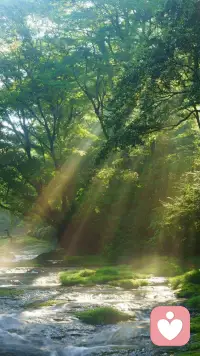 事过翻篇，人过不念，不要站在雾里，看不清别人，也看不清自己。往前走，别回头，该留的，一直都在；该走的，早已轻如尘埃。
新的方向，找回自己，下一个目标，好好生活配图