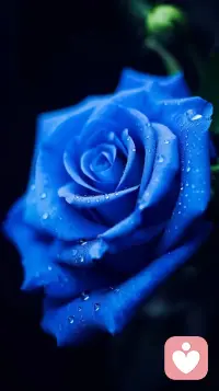 永远记住：位置不同，少言为贵；认知不同，不争不辩；三观不合，浪费口舌。群处守嘴，独处守心。如此，才能活得洒脱惬意，自在顺从。配图