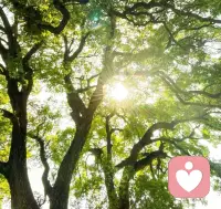 大万方去丢脸，兴致勃勃去失败；坦坦荡荡再重来——人生就是来体验的。
认栽、买单、迅速离场，知道及时止损是一种智慧。
成长最快的路，就是硬着头皮而上。人所有恐惧里，都藏着翻身的机会。配图
