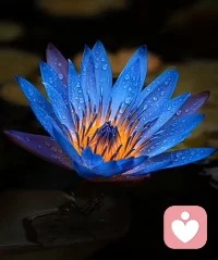 其实，真正的放下不是不难过，是难过完了，还能照常吃饭、照常上班。
成年人的崩溃都是静音的，谁也没必要让别人看见。