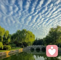 孝道的三个层面：养父母之身，养父母之心，养父母之志。其意思就是：要照顾父母的身体，顺从父母的心愿，完成父母的志向。配图