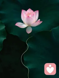 起落无常的，是岁月；笃定安然的，是灵魂。
在这熙熙攘攘的烟火尘世里，
怀一颗淡然心，阅悲欢，
持一份柔软意，渡流年。
人间冗杂，慢行、静守、淡看，
万般经历，随心、随性、随安。配图