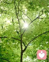 引路靠贵人，走路靠自己。
一个人最大的底气和勇气是努力和不在乎。
你只管努力，剩下的交给时间。配图