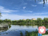 今天第一天上线。

缘起于真得想帮助大家，倾听你的心声，陪伴你走过人生的迷茫与至暗时刻。

这是一个充满疗愈的声音，你我在茫茫宇宙中的偶然相遇，这本身就是个奇迹。配图