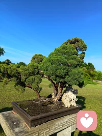 最美时刻莫过于现在配图