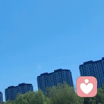 舒桢的头像