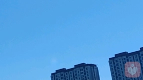 舒桢