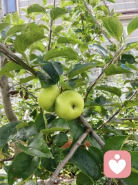 物质填满生活，关系丰盈内心
一无所有时，
一份真心陪伴就足以撑过低谷。