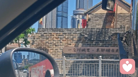 跨越心理断层:格式塔视角下,先接住感受再谈道理