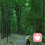 南春的头像