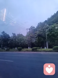 做你的专属树洞，接住所有情绪，安静倾听，温柔相伴。