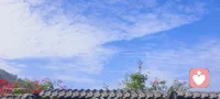 我这一生啊，坎坷又褴褛，可我依然热爱。配图