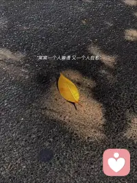  生活充斥重复与沉闷，我们都需要一份毫无保留的偏爱，以此留住灵魂里不肯黯淡的热忱与鲜活。