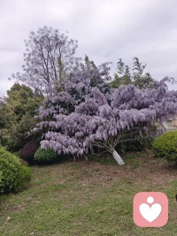很多人说，婚姻过得累，究其根本，大多是因为不被理解。
心里藏了太多话，想说，没人听；难过了，没人懂。
久而久之，慢慢把自己封闭起来。
屏幕前的你，是不是也有这样的感受？有心事不妨说一说，我愿意认真听你讲。配图