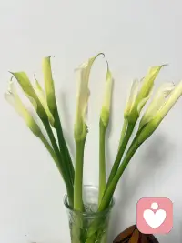 花钱收买好心情，鲜花到位，烦恼退位。配图