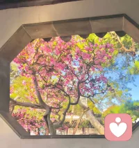 自由是灵魂的氧气
