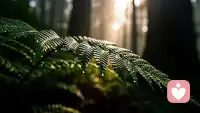  愿每一个深夜，都有人懂你的欲言又止。