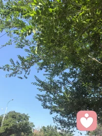 天转晴了呢，，，你的心情呢，，有没有在晴天里呢？配图