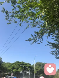 天转晴了呢，，，你的心情呢，，有没有在晴天里呢？配图