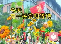 我就是自己的靠山，有钱自己赚，有事自己扛，难过我自己治愈，独立又清醒，骄傲又自由，这才是我最舒服的样子配图