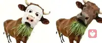 感情不是施舍，也不是勉强维持的。留不住的东西，就该果断放手；不值得的人，就该彻底远离。人生很短，与其浪费时间在错误的人身上，不如花时间经营自己，成为一个真正独立而清醒的人。#提升自己 #提升认知 #努力成为更好的自己配图