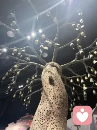 消耗你的“有毒”关系。
筛选值得维系的关系
‌梳理他人对你的支持度‌
把生活中重要的人列成清单，针对每个人问自己这几个问题：
我能信赖此人，获得实际的帮助吗？
他能在我情绪低落时给予情绪支持吗？
我遇到经济困难时，他能提供金钱协助吗？
我陷入麻烦时，他会第一时间出手相助吗？
如果多数问题的答案是否定的，那就要重新评估这段关系，考虑是否减少往来甚至清理出生活。
‌审视自己对他人的付出度‌
再列一张你信赖的人的清单，反向问自己：
我曾给这些人提供实际的帮助吗？
我能在他情绪不好时给予情绪支持吗？
他遇到经济问题时，我能提供金钱协助吗？
他陷入麻烦时，我会第一时间出手相助吗？
如果答案让你觉得愧疚，就从身边小事做起，用实际行动成为能给他人提供支持的人，积累正向的人际能量。
远离“有毒”关系的行动建议
‌明确边界，坚定拒绝‌：面对不合理的要求，直接说“不”，不要用“我考虑考虑”“我尽量”这类模糊的话，避免对方得寸进尺。
‌减少接触，降低影响‌：如果暂时无法切断关系，就减少见面、聊天的频率，避免被对方的负面情绪裹挟。
‌专注自我，积累能量‌：把精力放在提升自己上，比如培养新爱好、学习新技能，当你自身能量充足，就能更从容地应对人际关系中的问题。
想针对某段关系做深度分析？我帮你梳理互动细节和调整方向，精准优化关系状态需要不？