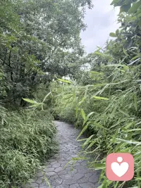 心里一定要有一个人，在不在一起重要，重要的是他的存在给了你生活的盼头，他让你有了面对生活的勇气，举个最简单的例子，因为他的存在，你把自己打扮的很得体，照顾的很健康，每天都是活力满满，心理学有一个概念叫做客体恒常性，意思是不管这个人在不在你身边，他在你心中形成的积极的印象，会持续不断的产生安全感和动力，而这种内在在的能量变成我们自我的一部分，或许真正的让生活有盼头的并不是爱某一个人，而是我们保持这种爱的能力，无论是爱他还是爱自己，还是爱生活，又或者爱这个世界，这种主动去爱的状态的本身才是生活的能量之源，所以一定要保持爱的能力，你的生活一定会更加多彩，更加明亮