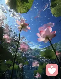 “走进这片绿野仙踪，我才真正理解了荣格所说的‘共时性’——不是我在寻找风景，而是这片光恰好在等我。