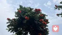 应该学会的第一关系是与自我的关系配图