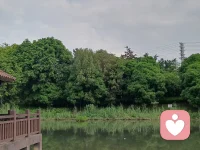 失意的时候
当你没工作的时候，多出去走走。当你有工作的时候，适当运动。当你有副业的时候，稳住主业。当你副业变主业的时候，再弄个副业。
       很少有人会主动帮你，当你足够优秀，会有人锦上添花。最初的一段，只能自己熬着。不期待也别埋怨，做好被针对，被误解，被谩骂的准备。