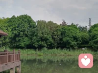 悟道  
对于某些小恶意，多一些宽容，都是穷苦的人。
有的人苦于目前的收入
有的人苦于目前的职位
有的人苦于目前的权利
有的人苦于目前的学历
有的人苦于目前的卑微
有的人苦于目前的社会地位
       允许别人炫耀他的自卑
      也允许别人发泄他的“优越”
有很多人说这个世界不值得付出太多，但我觉得如果所有的人都只为了自己而不断索取，那这是我们真心希望看到的吗？绝对不是！