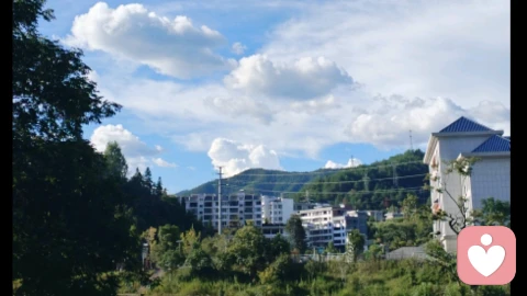 生命力,才是择偶的核心标准\n我们总用外在条件筛选伴侣,却忽略了最核心的一点:两个人在一起,是相互滋养,还是彼此消耗。\n \n一段错的关系,会慢慢磨掉你的热情