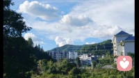 生命力，才是择偶的核心标准\n我们总用外在条件筛选伴侣，却忽略了最核心的一点：两个人在一起，是相互滋养，还是彼此消耗。\n \n一段错的关系，会慢慢磨掉你的热情