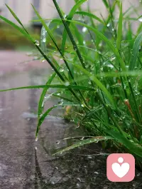 山海自有归期，雨后必会天晴，意难平终将和解，万事终将如意