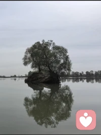 “早熟的人可能晚熟”
一听不知所云
再查心生怜悯
当我们嫌弃孩子不懂事的时候，
谁又能真正的站在孩子的内心。
每位家长对自己的孩子可能都缺少一些拥抱与体谅！配图