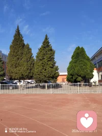 你的生活掌握在自己手里，无论外界环境如何变迁
只要你足够热爱生活热爱自己。其他都是其他