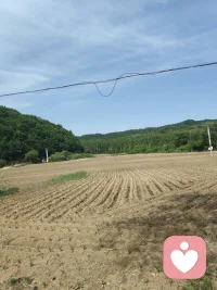 其实情绪本身并没有对错，每一种情绪都值得被关注，如果你现在还很难过，别敝着，说出来我在听v