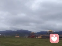 感受草原的辽阔，感受藏族民族的风土民情，当我踏上这片土地，心怀瞬间开阔，大地仿佛张开双臂将我拥入怀，我站在蓝天下，躺在草原上像在大地的摇篮里，天空像海辽阔，白云像棉花糖，甜甜的，软软的，清风带着青草的韵味，突然感觉自己像个孩子，被大地母亲抚慰，安抚，治愈，——感受大自然