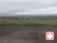 感受草原的辽阔，感受藏族民族的风土民情，当我踏上这片土地，心怀瞬间开阔，大地仿佛张开双臂将我拥入怀，我站在蓝天下，躺在草原上像在大地的摇篮里，天空像海辽阔，白云像棉花糖，甜甜的，软软的，清风带着青草的韵味，突然感觉自己像个孩子，被大地母亲抚慰，安抚，治愈，——感受大自然