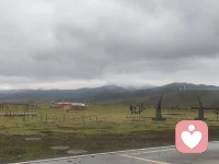 感受草原的辽阔，感受藏族民族的风土民情，当我踏上这片土地，心怀瞬间开阔，大地仿佛张开双臂将我拥入怀，我站在蓝天下，躺在草原上像在大地的摇篮里，天空像海辽阔，白云像棉花糖，甜甜的，软软的，清风带着青草的韵味，突然感觉自己像个孩子，被大地母亲抚慰，安抚，治愈，——感受大自然