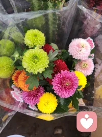 1. 渡人先渡己，疗心先自愈，心安稳，方能安众生。
​
2. 守好情绪边界，接纳能力有限，温柔助人，清醒自爱。
​
3. 倾听世间万般苦楚，守住内心一方清净。
​
4. 不揽他人风雨，不负自身初心，从容行医，静心修行。
​
5. 以温柔共情众生，以清醒守护自己。
​
6. 见过太多黑暗，依旧心怀暖阳，治愈他人，温暖自己。
​
7. 放下职业执念，看淡咨询得失，尽心即可，无愧于心。
​
8. 做情绪的摆渡人，不做烦恼的收纳者。
​
9. 修己静心，从容从业，慢渡人心，安然度日。
​
10. 心怀善意有尺度，心怀慈悲有锋芒。配图