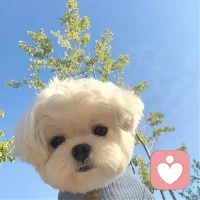 暴力从不是答案
 
一时的冲动、情绪的宣泄，或许能靠暴力换来片刻的强势，却永远解不开心底的隔阂，抹不掉造成的伤痕。
 
言语的争执、观念的分歧、人际的矛盾，本就该用理解与沟通慢慢调和。暴力只会让小事升级，让裂痕加深，哪怕表面暂时平息，埋下的怨恨也会悄然生长。
 
真正的强大，从不是挥舞拳头、宣泄戾气，而是懂得克制情绪，愿意静下心倾听、换位思考。以柔化刚，以理服人，用善意和理智面对困境，才能真正化解矛盾，迎来平和与安宁。配图