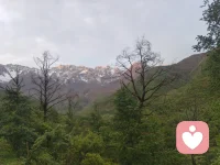 摒弃急于求成，静待时光花开
 
人这一生，最容易内耗的，莫过于急于求成。
 
我们总盼着付出立刻有回报，努力马上见结果，播种即刻得丰收。读书几日便想学识渊博，健身数天就盼体态蜕变，深耕一事短暂不见成效，便心生焦虑、匆匆放弃。我们追赶着世俗的节奏，慌慌张张赶路，把耐心耗尽，把心态打乱，最终一事无成，徒留疲惫与迷茫。
 
世间所有美好，从无速成的捷径。春生夏长，秋收冬藏，草木生长需要四季沉淀，繁花绽放需要日夜积蓄，万事万物都有自己的节奏与花期。就像种子破土，需要默默扎根泥土，熬过无人问津的时光，才能汲取养分、茁壮成长；就像溪流奔海，需要缓缓汇聚、日夜奔涌，方能跨越山河，奔赴辽阔汪洋。
 
急于求成的本质，是浮躁的心态，是对过程的轻视。我们总执着于结果的光鲜，却忽略了真正让人成长、让人沉淀、让人蜕变的，恰恰是默默坚持的过程。那些日复一日的积累，那些不为人知的付出，那些默默坚守的时光，看似毫无波澜，实则都在悄悄蓄力，为往后的绽放铺路。
 
人生从不是一场竞速赛，而是一场漫长的修行。不必焦虑为时已晚，不必强求立竿见影。放下浮躁，褪去急功近利的执念，允许一切慢慢来。脚踏实地走好每一步，沉下心打磨自己，耐心耕耘，默默积淀。
 
时光从不辜负坚持，所有稳稳当当的努力，终会在合适的时机，开出最温柔、最坚韧的花。
