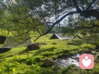 1. 躯体化 / 躯体症状反应
内心压抑的压力、创伤、长期耗竭，不直接以情绪爆发表现，转而通过自主神经系统输出为身体症状：关节刺痛、游走痛、酸胀、灼热，检查关节骨骼无明显损伤，但主观痛感强烈。
很多人习惯隐忍情绪，不擅长表达内心委屈，潜意识启动防御：心理痛苦转化成身体疼痛来呈现。
​
2. 中枢痛觉敏化（痛觉闸门理论）
大脑情绪中枢和痛觉处理中枢是同一套脑区。长期焦虑、睡眠差、精神耗竭，大脑“疼痛过滤闸门”失效。
关节本来很轻微的血液循环、神经刺激，被大脑放大成明显疼痛；压力大、夜里、疲惫的时候痛感加重，放松后会减轻一部分。
​
3. 自主神经身心环路（心身医学）
慢性应激→交感神经长期亢奋：
 
- 关节周围血管收缩，局部供血变差，代谢废物堆积，关节周围神经受刺激；
​
- 肌肉无意识紧绷，牵拉关节附着点，产生类似关节痛的感受；
​
- 压力激素升高，身体低度炎症，进一步放大酸胀刺痛。
 
结合你的整套症状链条
 
长期精神内耗、睡眠紊乱、上热下寒体质、鼻咽黏膜水肿、耳鸣咽痛、游走关节神经痛，属于身心双向循环：
心理压力→自主神经失调→躯体多处不适；
躯体持续难受、反复疼痛，又反过来加重焦虑、睡眠变差，再进一步放大痛感，形成闭环。
 
心理学上的典型特征（对照参考）
 
- 疼痛位置游走，今天这个关节，明天另一个；
​
- 受凉、熬夜、情绪受挫之后明显加重；
​
- 拍片、化验，没有足够严重的器质性病变去解释痛苦程度；
​
- 常常合并：夜里易醒、脚底发热、嗓子痒、耳鸣、容易疲惫，一整套自主神经紊乱表现。
 
心理学层面干预思路（不是替代药物理疗）
 
1. 打破灾难化思维：不要每次关节痛就认定关节彻底坏掉，区分“有痛感”和“组织严重破坏”；
​
2. 降低身体过度警觉：正念、渐进式肌肉放松，降低交感神经过度亢奋，下调痛觉敏感度；
​
3. 情绪的外化表达：很多躯体痛来源于情绪压在心里，把委屈、压力讲出来、写出来，减少身体替情绪“买单”；
​
4. 恐惧‑回避模型提醒：因为疼就完全不动，会肌肉萎缩循环加重；适度温和活动，而不是完全躺平回避疼痛。
 
提示：心理学视角是解释维持、放大疼痛的机制；关节刺痛首先必须完成风湿、骨科检查，排除器质性疾病，再做心理层面调节。