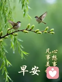 同样的世界，不一样的眼界，站在二楼往下看，全是果皮纸屑，垃圾满地。登上二十楼再看看，处处都是美景，风光无限。
其实世界是一样的，周围的环境也是一样的，只是身处的位置不同，拥有的格局不同。看到的事情，心中的感觉，也就有了天壤之别。一个人的格局不够，看到的都是问题。而格局大小则影响一个人的一生。
1、格局大的人，不会计较
格局大的人，心胸开阔，通情达理，不会为了琐事烦恼，不会因为小事计较，经常换位思考，替人着想，反思自己的不对，宽恕他人的过错。
格局大，眼界宽，不会揪着别人的失误不放，不会因为琐碎的事情动怒。能看淡得失，释怀仇怨，常与挚友结伴为伍，不与恶人同流合污。
2、格局大的人，互相搭台
现实生活中总有一些人，总喜欢占人便宜，与朋友相处，算计利益，和他人来往，必抢好处，不仅不肯吃亏，还会伤人骗人。这样的人格局小，不宜交。
而格局大的人，待人真心实意，不算计，总是主动帮人，不索取。和他们在一起，互相搭台，风雨同舟，彼此成就，共同进步，能助自己收获成功。
3、格局大的人，必成大事
格局小的人，眼界狭隘，只看到眼前的蝇头小利，因此得不到长远的发展。只在意自己所得的利益，所以换不来别人的真心。
而格局大的人，眼界宽阔，从来不会轻易放弃，知道怎样提升自己，明白自己如何努力，不因成功沾沾自喜，不因优秀目中无人。他们低调，也自律，有目标方向，有拼劲胆魄，坚持不懈，必成大事。
格局，决定一个人的前程，

格局，体现一个人的素养，修炼格局，是每个人一生的课题，遇事往高处站，远处看，少一些纠结计较，多一些自醒自省。当你的格局变大了，才能开拓眼界，看淡一切，成就美好的未来，拥有辉煌的事业！
点击关注我们、弘扬正能量配图