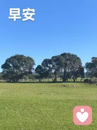 愿你我此时都有个不错的心情配图